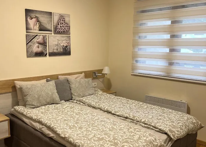 Relax & * 즐라티보